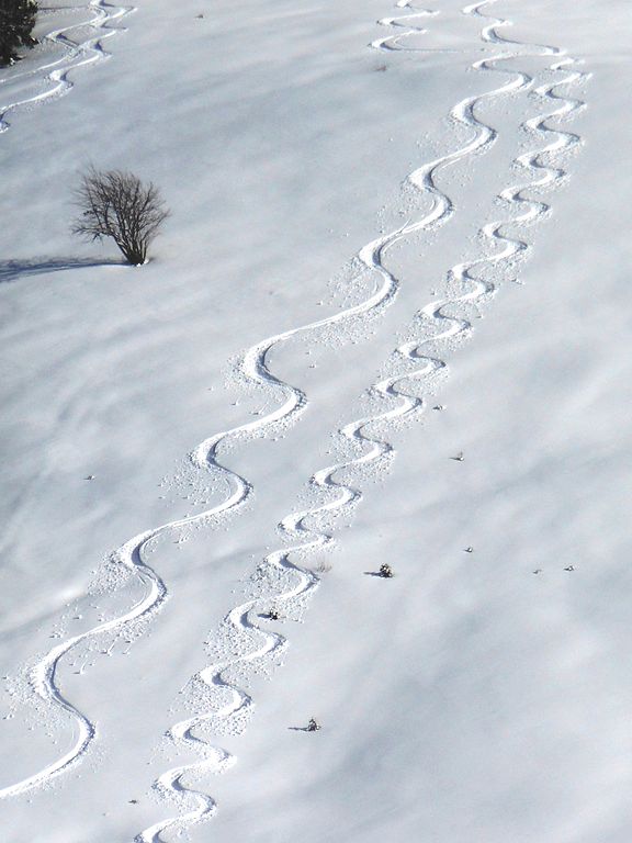 Traces_de_ski_dans_la_neige.jpg